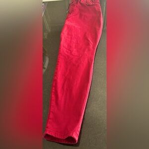Judy Blue Scarlet Joggers size 16W